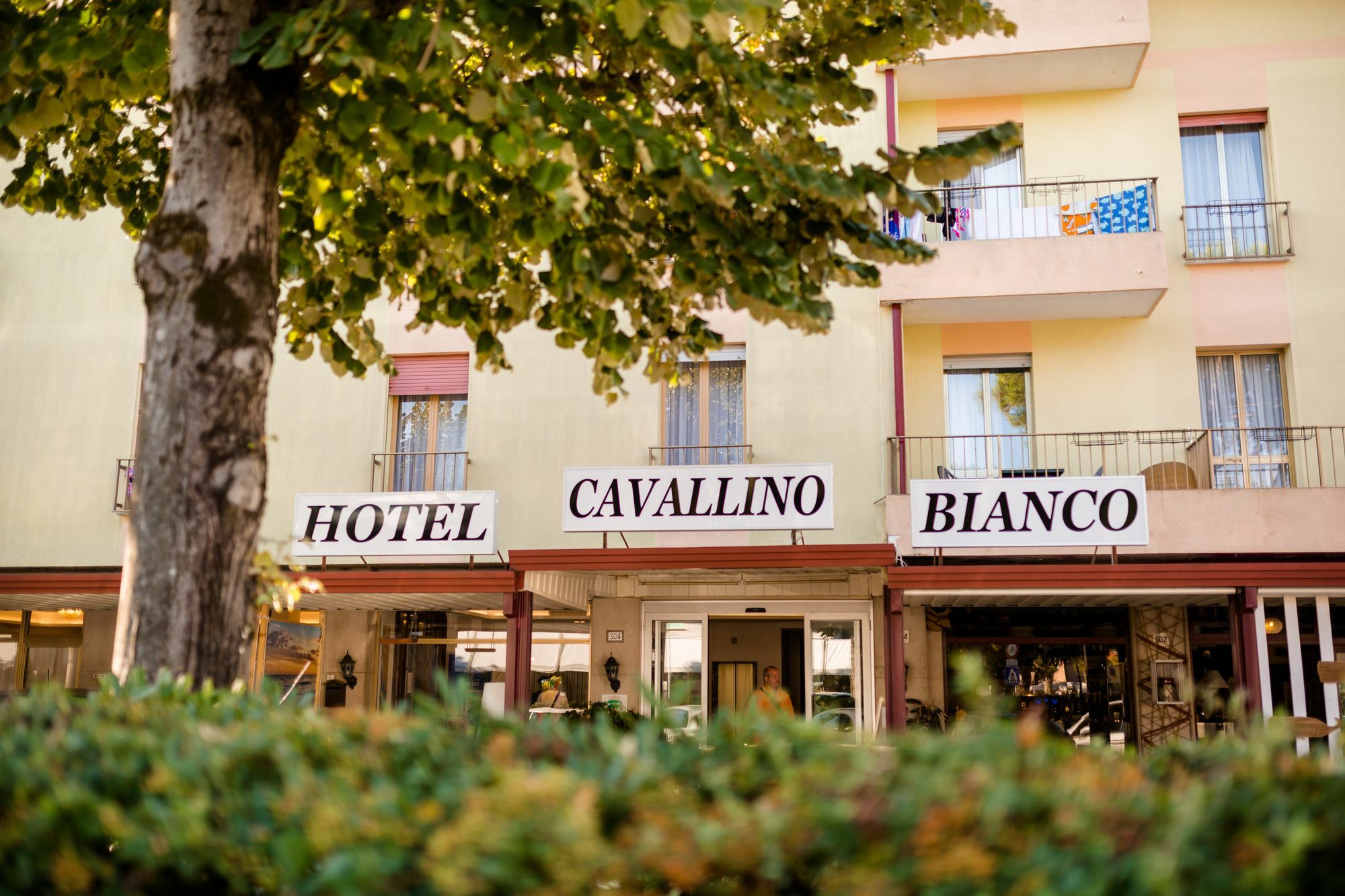 Hotel Cavallino Bianco ภายนอก รูปภาพ